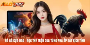 Đá gà cựa dao