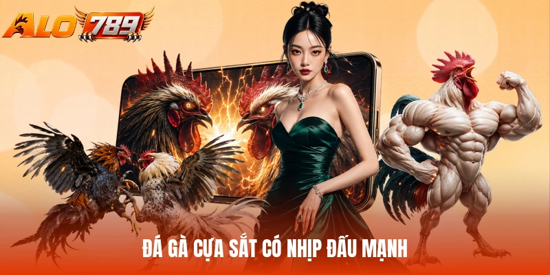 Đá gà cựa sắt có nhịp đấu mạnh