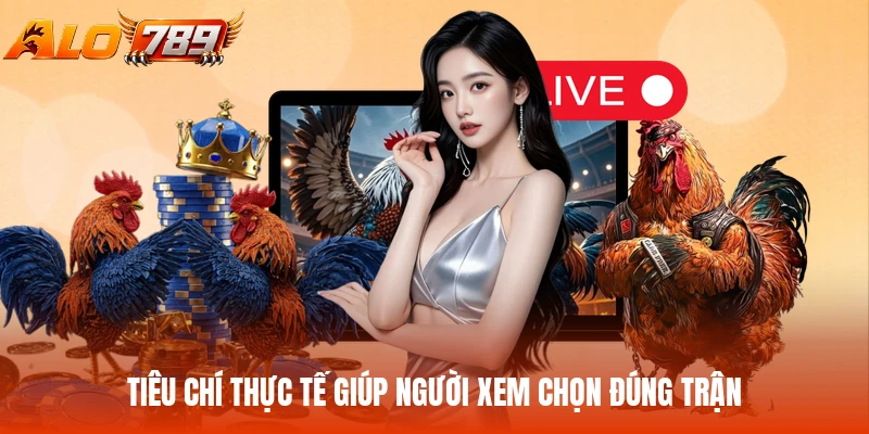 Tiêu chí thực tế giúp người xem chọn đúng trận